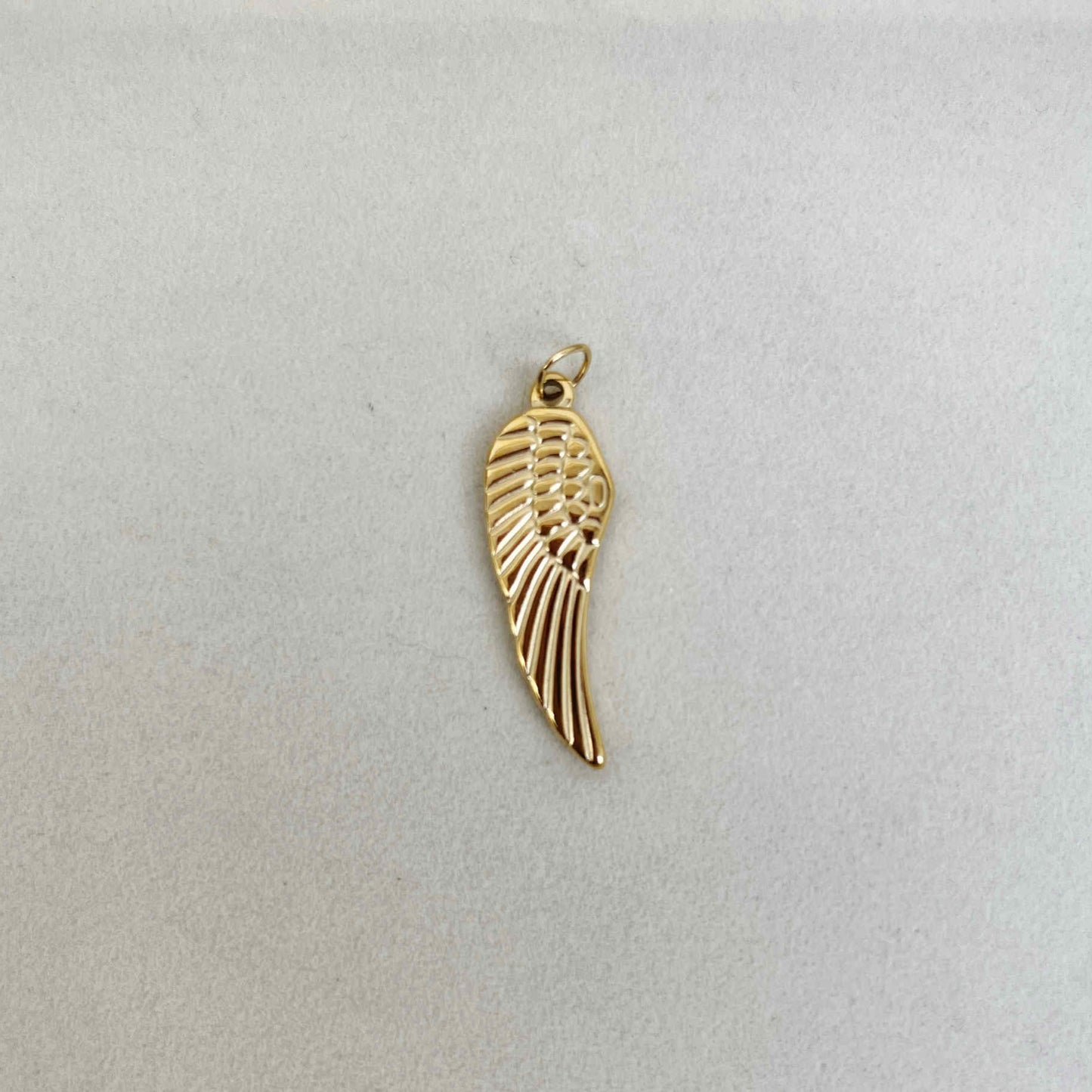 The Angel Wing Charm