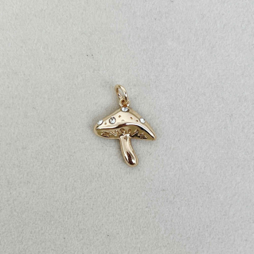 The Mushroom Charm