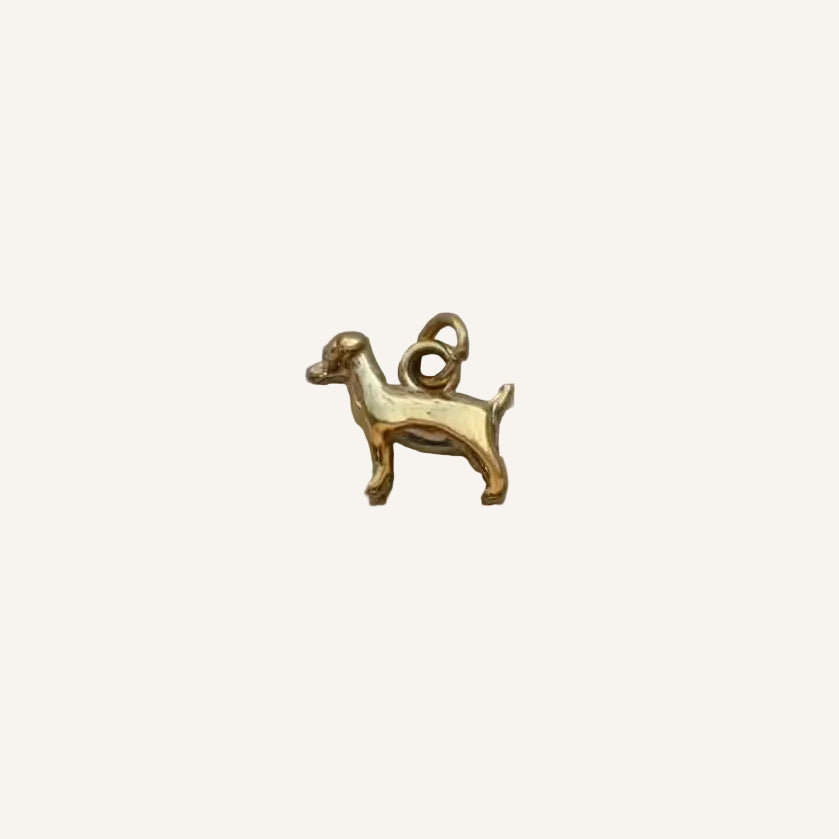 The Dog Charm