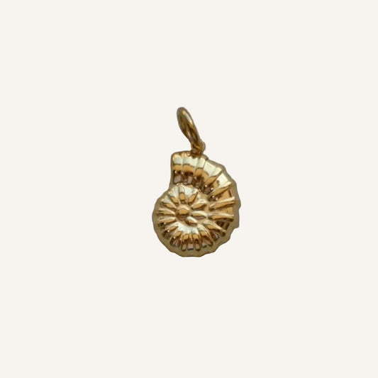 The Ramshorn Shell