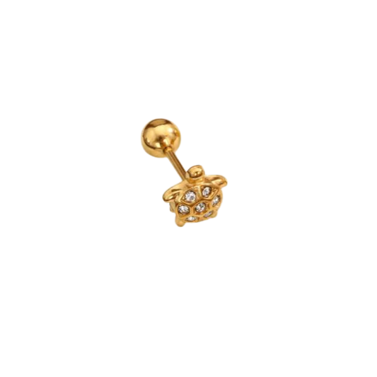 Turtle Piercing