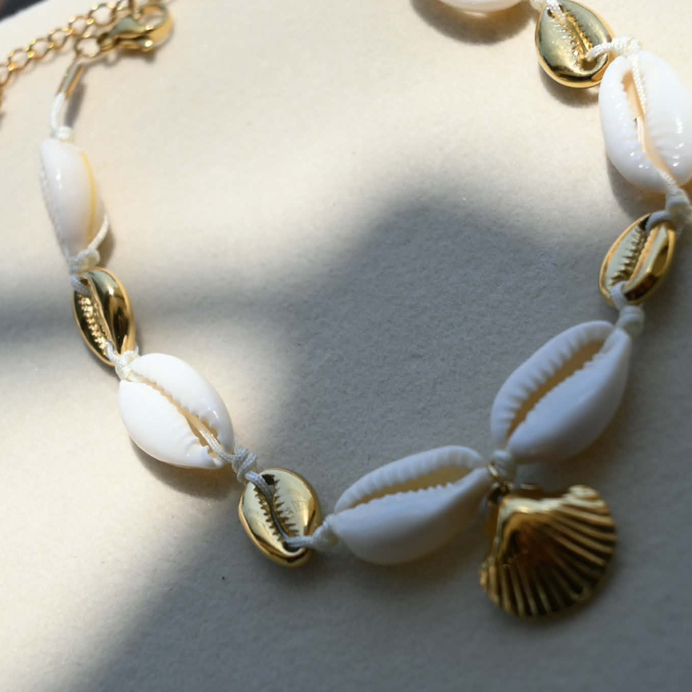 White and Gold shells