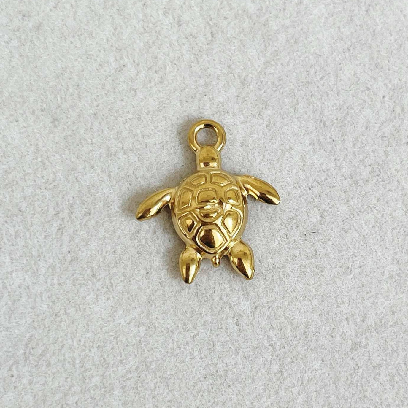 The Turtle Charm
