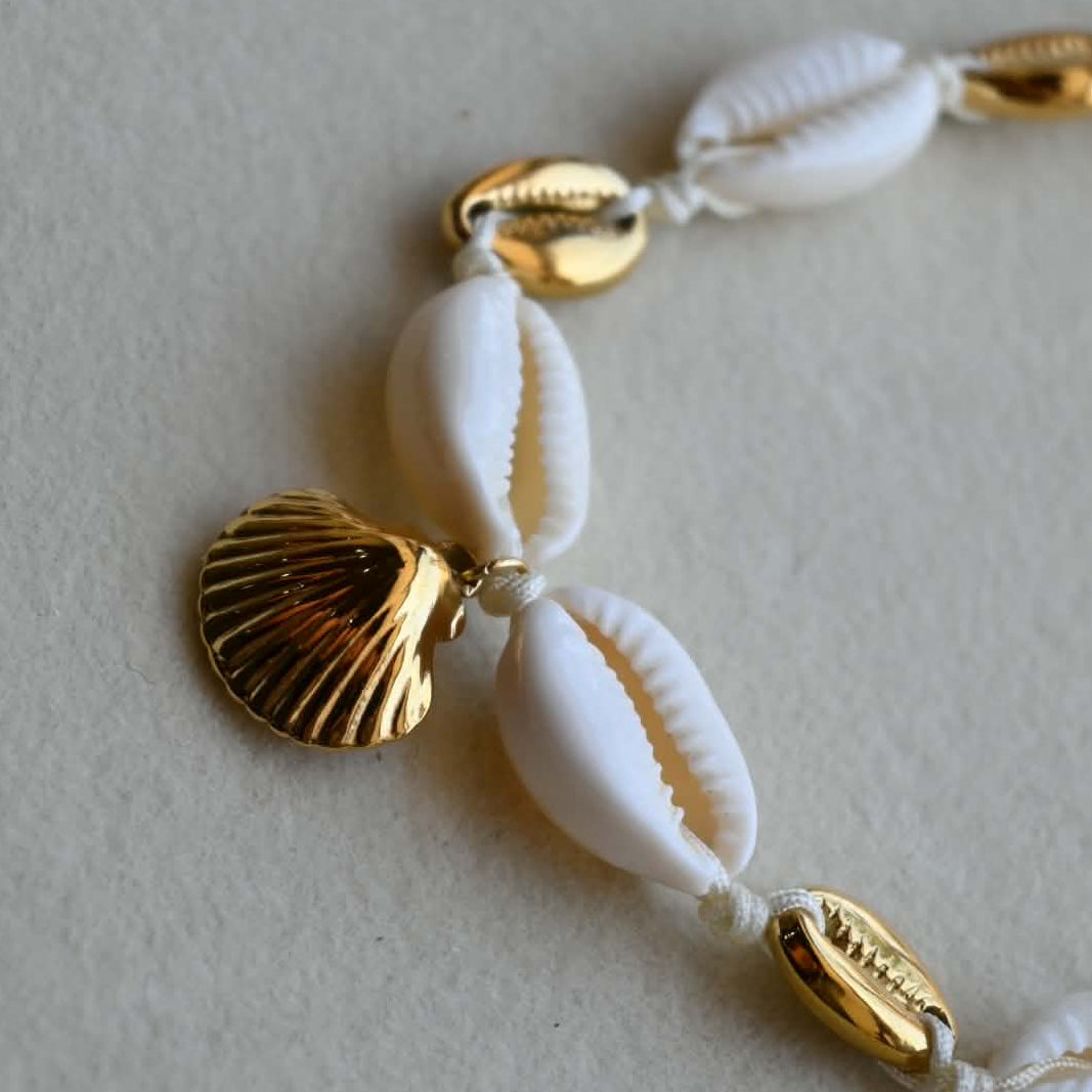 White and Gold shells
