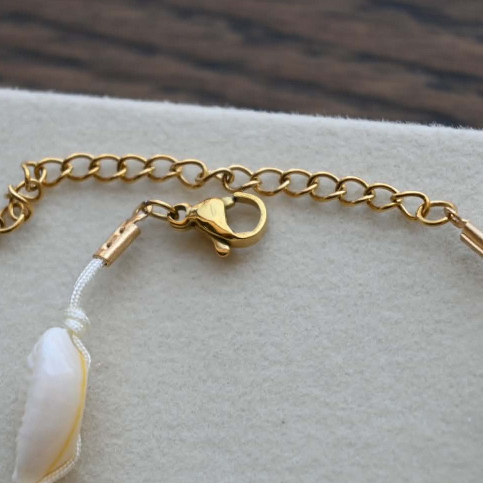 White and Gold shells