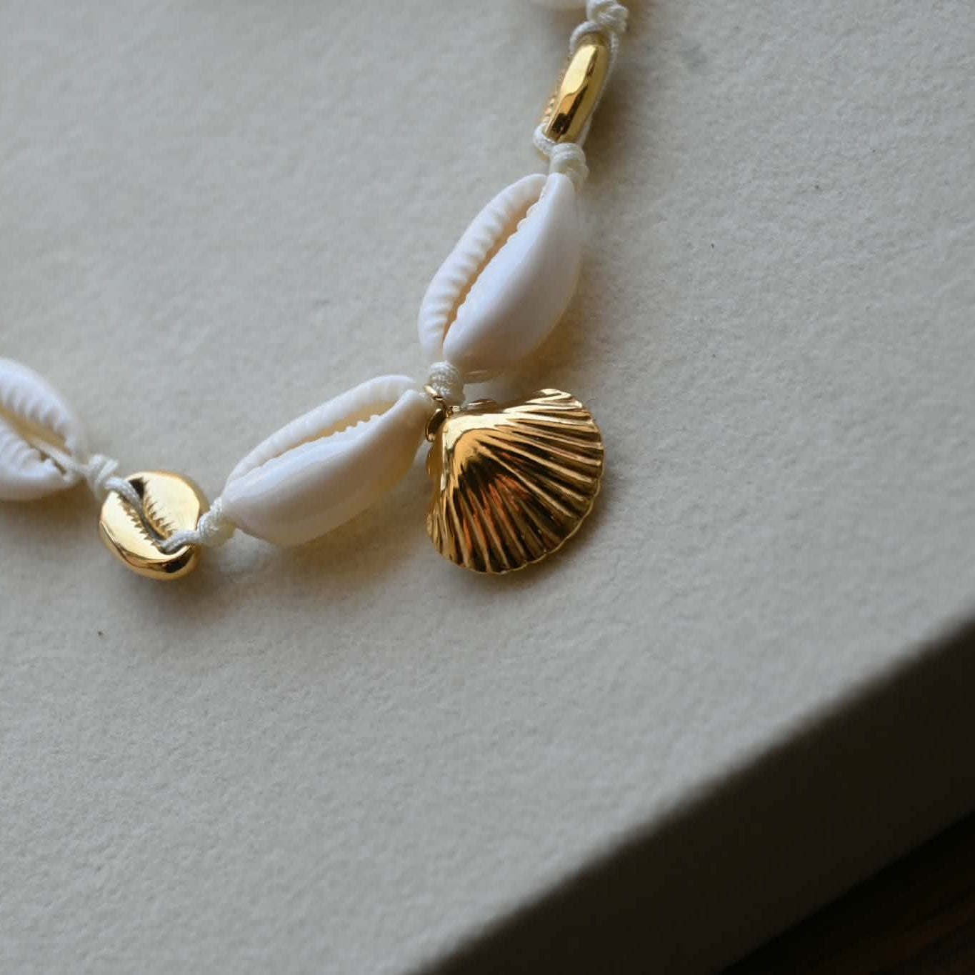 White and Gold shells