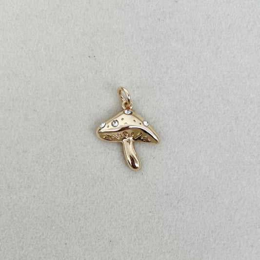 The Mushroom Charm
