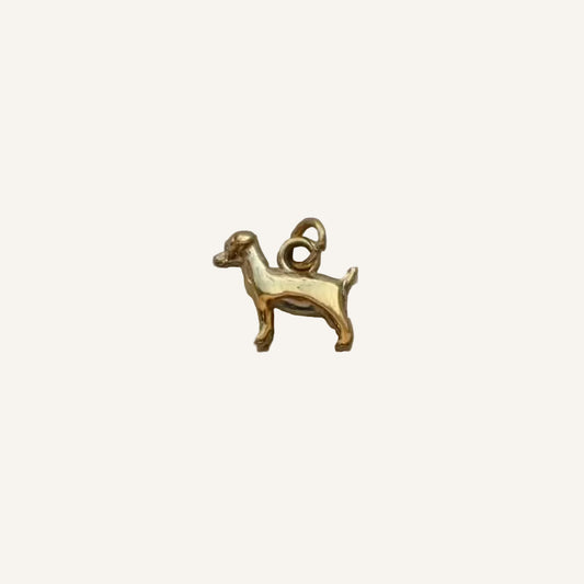 The Dog Charm